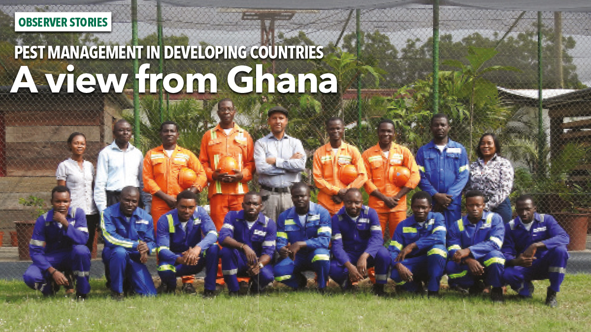 A view from Ghana an Observer story